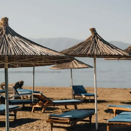 Kraal فلورا