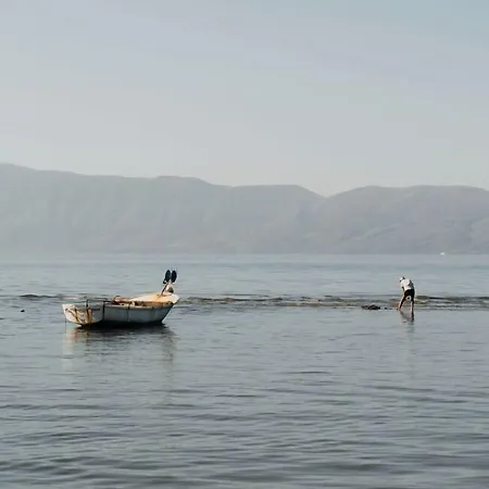 Kraal فلورا