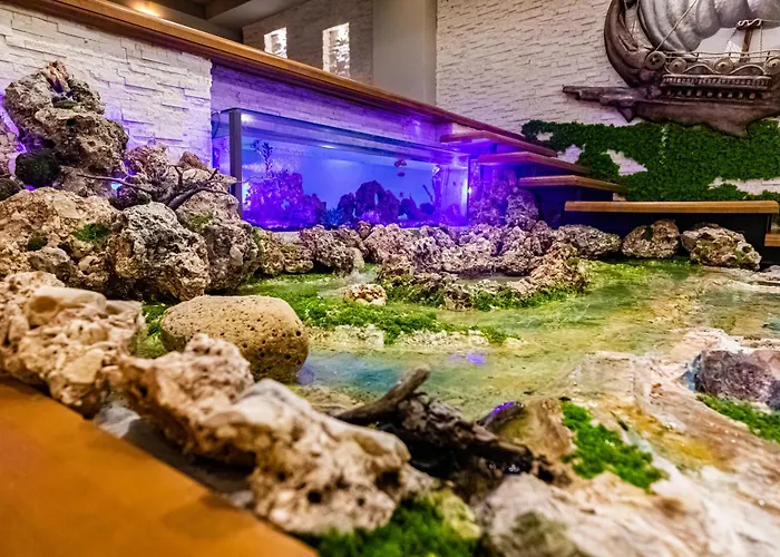 Kraal فندق فلورا